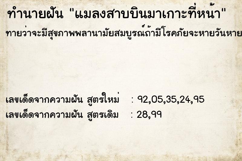ทำนายฝันทำนายฝันแมลงสาบบินมาเกาะที่หน้า