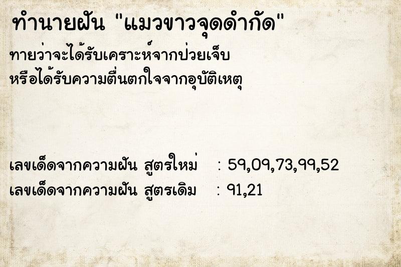ทำนายฝันแมวขาวจุดดำกัด ทำนายฝันทำนายฝันแมวขาวจุดดำกัด