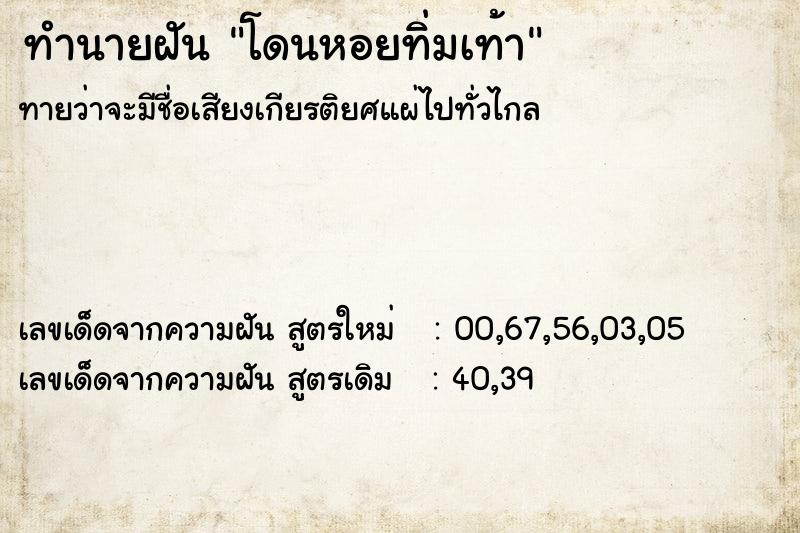 ทำนายฝันทำนายฝันโดนหอยทิ่มเท้า
