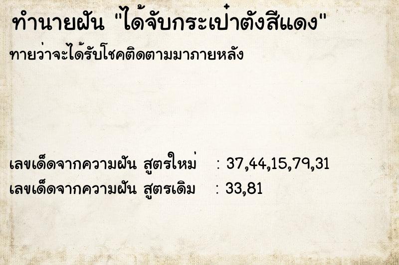 ทำนายฝันทำนายฝันได้จับกระเป๋าตังสีแดง