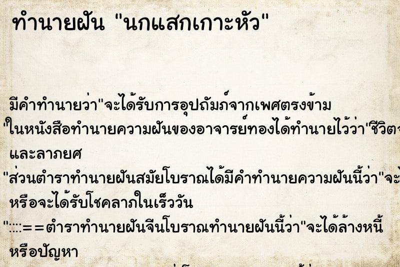 ทำนายฝัน นกแสกเกาะหัว ทำนายฝัน นกแสกเกาะหัว