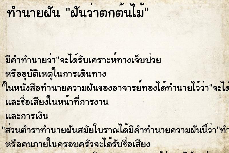 ทำนายฝันฝันว่าตกต้นไม้ ทำนายฝันทำนายฝันฝันว่าตกต้นไม้