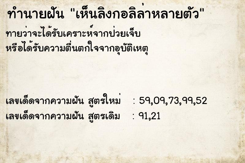 ทำนายฝันเห็นลิงกอลิล่าหลายตัว ทำนายฝันทำนายฝันเห็นลิงกอลิล่าหลายตัว