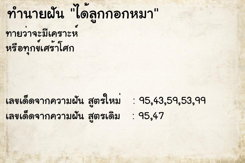 ทำนายฝันทำนายฝันได้ลูกกอกหมา