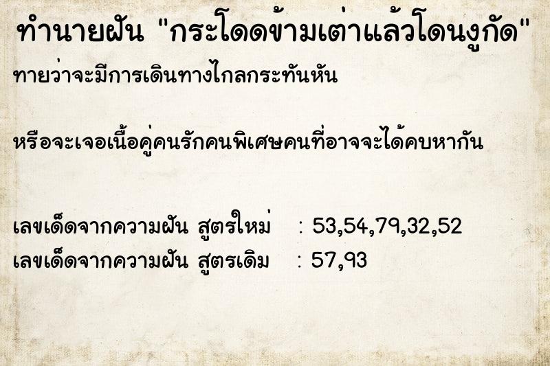ทำนายฝันทำนายฝันกระโดดข้ามเต่าแล้วโดนงูกัด