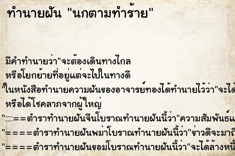 ทำนายฝันทำนายฝันนกตามทำร้าย