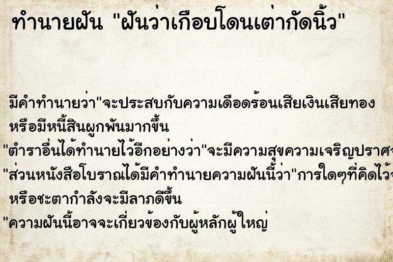 ทำนายฝันฝันว่าเกือบโดนเต่ากัดนิ้ว ทำนายฝันทำนายฝันฝันว่าเกือบโดนเต่ากัดนิ้ว