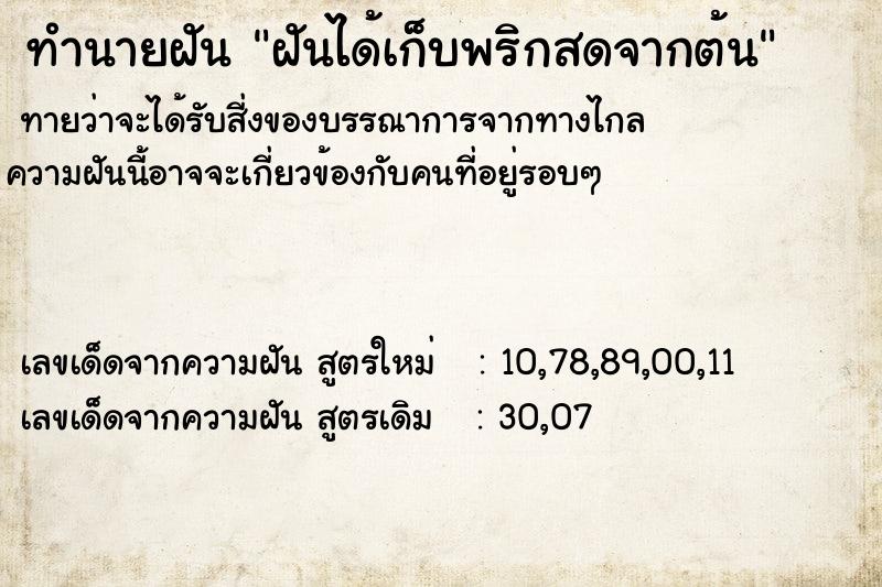 ทำนายฝันทำนายฝันฝันได้เก็บพริกสดจากต้น
