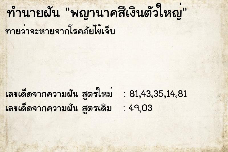 ทำนายฝันทำนายฝันพญานาคสีเงินตัวใหญ่