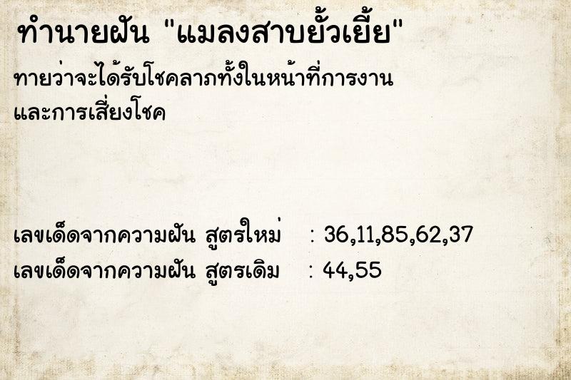 ทำนายฝัน แมลงสาบยั้วเยี้ย ทำนายฝัน แมลงสาบยั้วเยี้ย