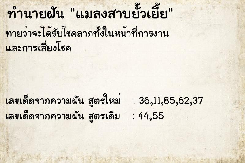 ทำนายฝัน แมลงสาบยั้วเยี้ย ตำราโบราณ แม่นที่สุดในโลก