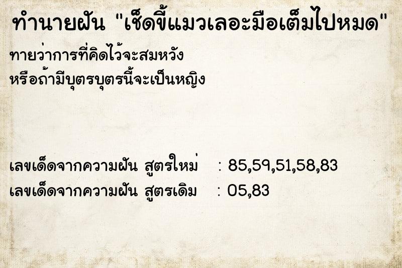 ทำนายฝันทำนายฝันเช็ดขี้แมวเลอะมือเต็มไปหมด