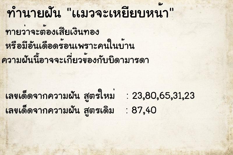 ทำนายฝัน เเมวจะเหยียบหน้า ทำนายฝัน เเมวจะเหยียบหน้า