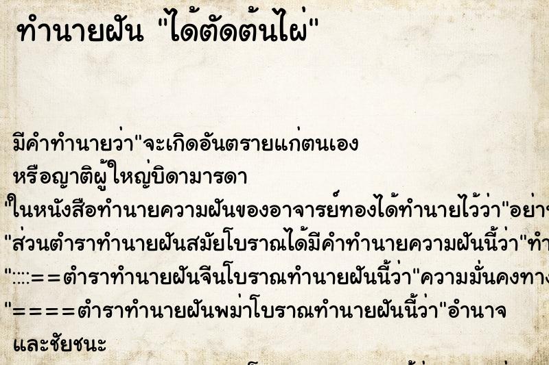 ทำนายฝัน ได้ตัดต้นไผ่ ทำนายฝัน ได้ตัดต้นไผ่