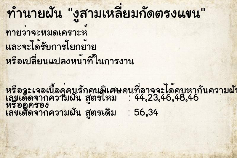 ทำนายฝันงูสามเหลี่ยมกัดตรงแขน ทำนายฝันทำนายฝันงูสามเหลี่ยมกัดตรงแขน