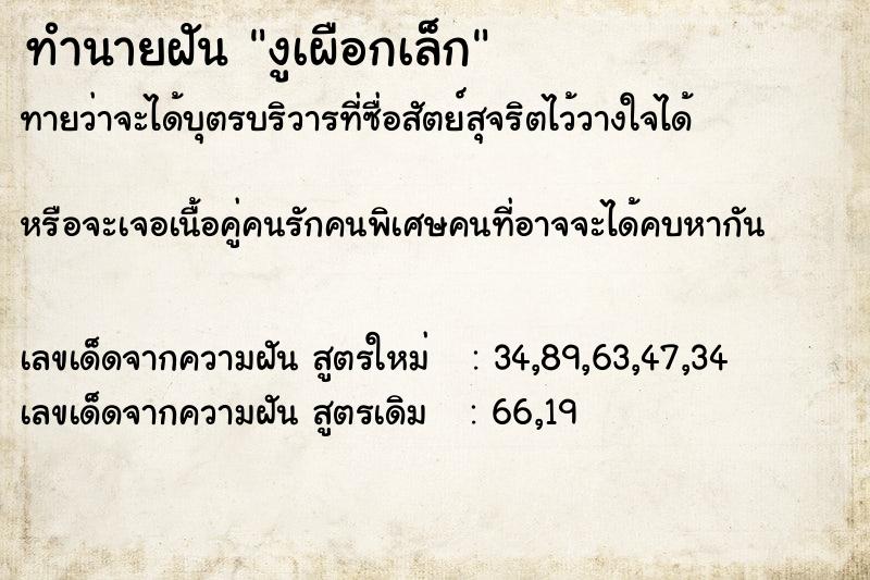 ทำนายฝันงูเผือกเล็ก ทำนายฝันทำนายฝันงูเผือกเล็ก