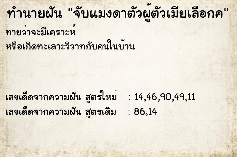 ทำนายฝัน จับแมงดาตัวผู้ตัวเมียเลือกค ทำนายฝัน จับแมงดาตัวผู้ตัวเมียเลือกค