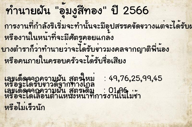 ทำนายฝัน อุ้มงูสีทอง ทำนายฝัน อุ้มงูสีทอง