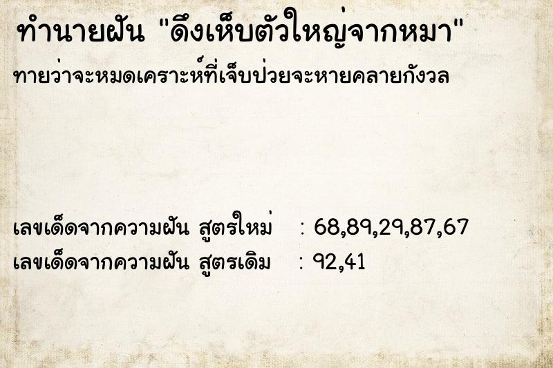 ทำนายฝันทำนายฝันดึงเห็บตัวใหญ่จากหมา