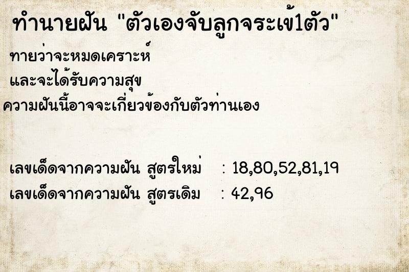 ทำนายฝันตัวเองจับลูกจระเข้1ตัว ทำนายฝันทำนายฝันตัวเองจับลูกจระเข้1ตัว