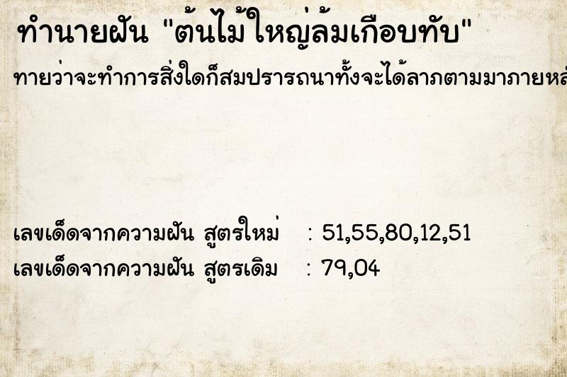 ทำนายฝันต้นไม้ใหญ่ล้มเกือบทับ ทำนายฝันทำนายฝันต้นไม้ใหญ่ล้มเกือบทับ