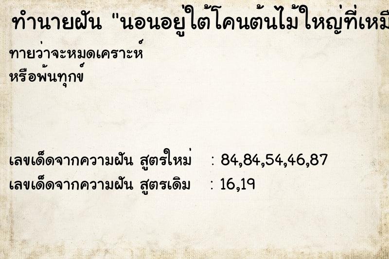 ทำนายฝันทำนายฝันนอนอยู่ใต้โคนต้นไม้ใหญ่ที่เหมือนต้นโพธิ์