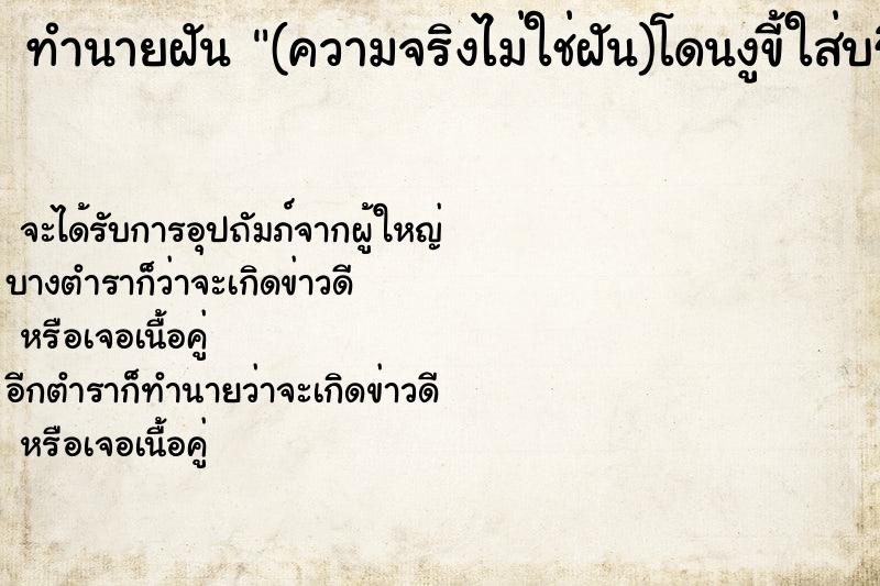 ทำนายฝันทำนายฝัน(ความจริงไม่ใช่ฝัน)โดนงูขี้ใส่บริเวณไหล่ซ้าย