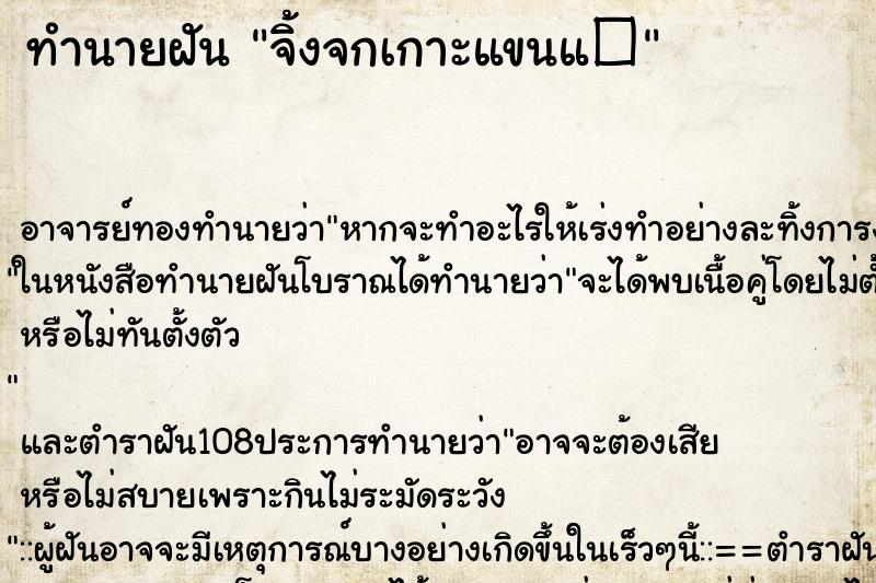 ทำนายฝัน จิ้งจกเกาะแขนแ� ทำนายฝัน จิ้งจกเกาะแขนแ�