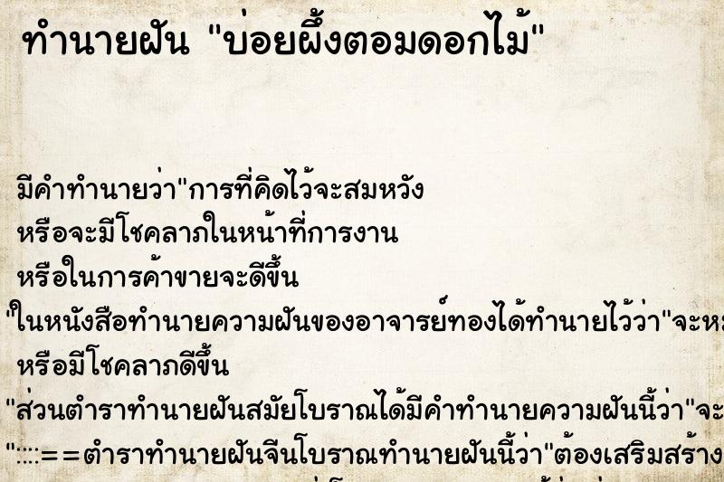 ทำนายฝันบ่อยผึ้งตอมดอกไม้ ทำนายฝันทำนายฝันบ่อยผึ้งตอมดอกไม้