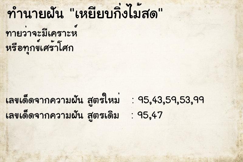 ทำนายฝันทำนายฝันเหยียบกิ่งไม้สด