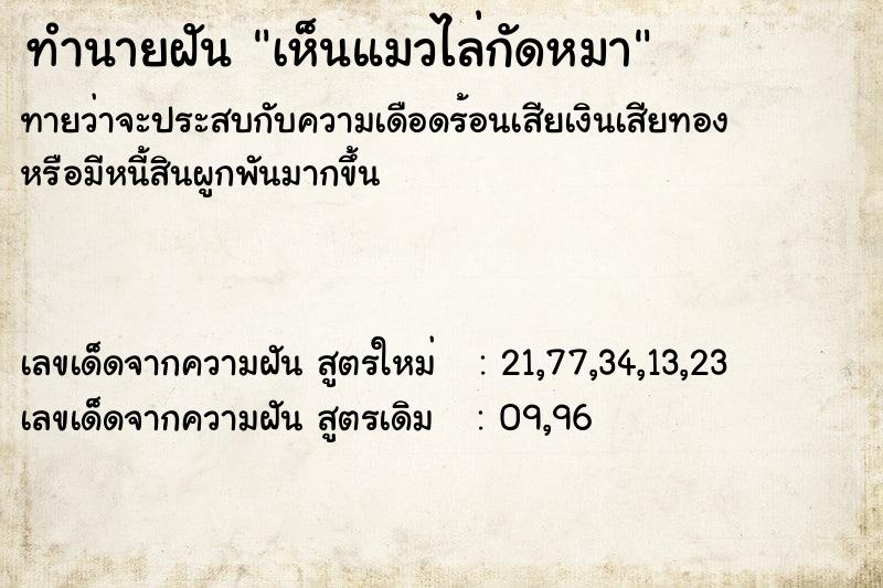 ทำนายฝัน เห็นแมวไล่กัดหมา ทำนายฝัน เห็นแมวไล่กัดหมา