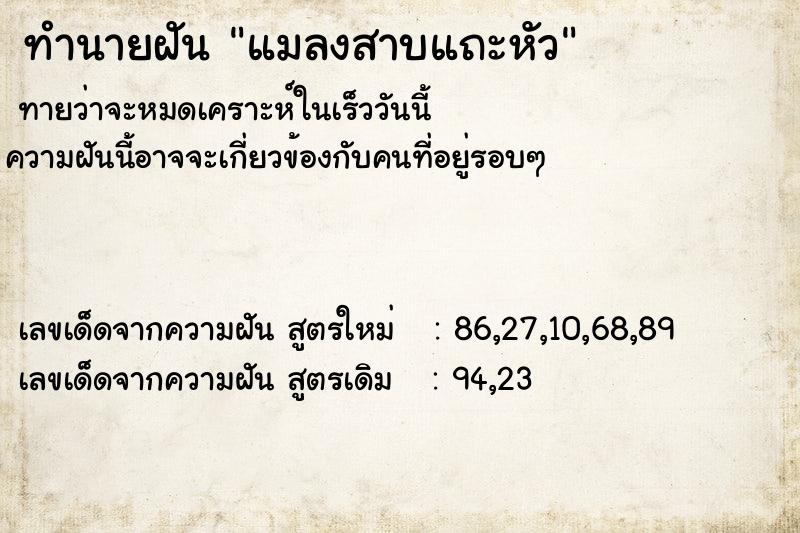 ทำนายฝันทำนายฝันแมลงสาบแถะหัว