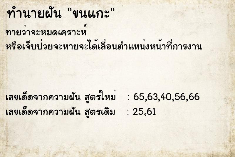 ทำนายฝันทำนายฝันขนแกะ