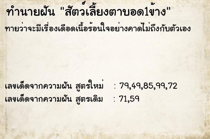 ทำนายฝันสัตว์เลี้ยงตาบอด1ข้าง ทำนายฝันทำนายฝันสัตว์เลี้ยงตาบอด1ข้าง