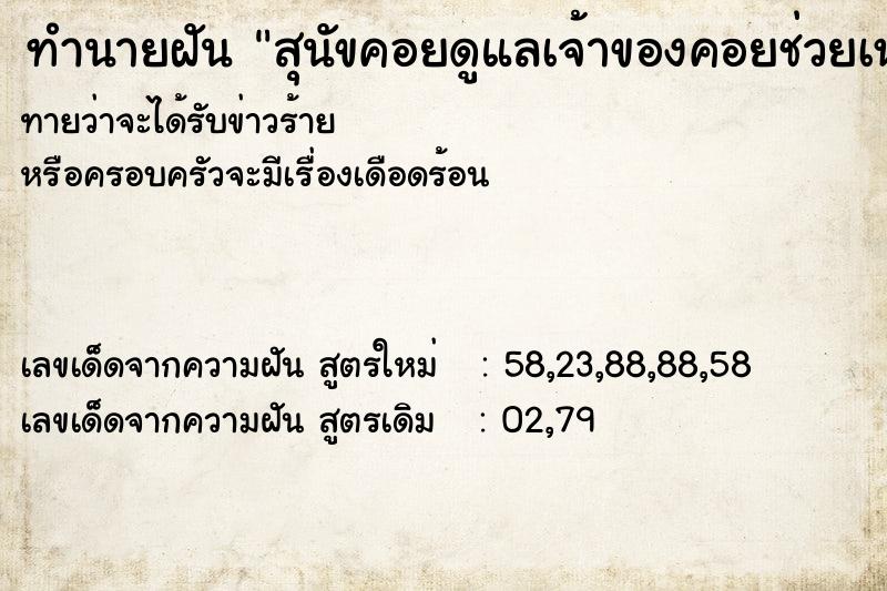 ทำนายฝันทำนายฝันสุนัขคอยดูแลเจ้าของคอยช่วยเหลือ