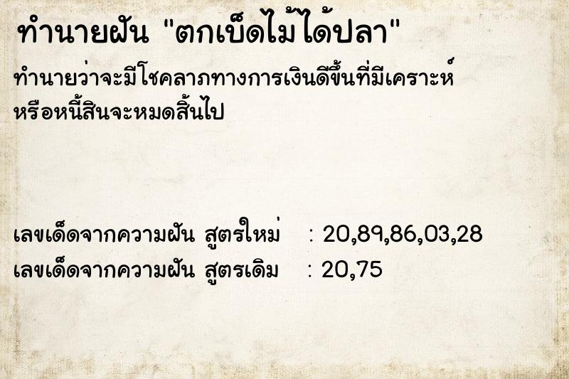ทำนายฝันตกเบ็ดไม้ได้ปลา ทำนายฝันทำนายฝันตกเบ็ดไม้ได้ปลา