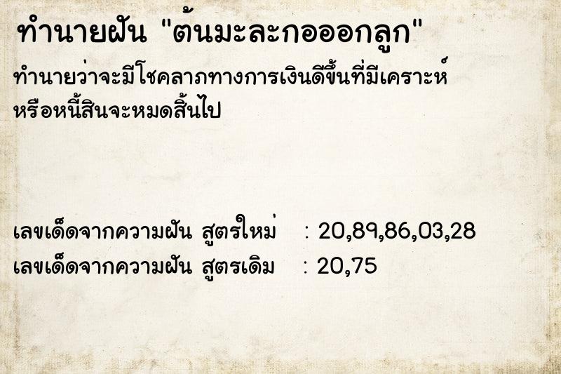 ทำนายฝันต้นมะละกอออกลูก ทำนายฝันทำนายฝันต้นมะละกอออกลูก