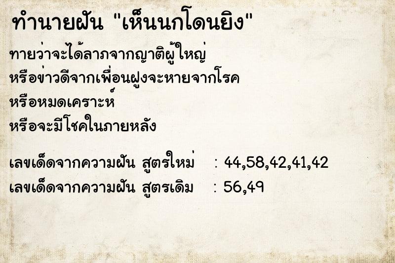 ทำนายฝันทำนายฝันเห็นนกโดนยิง