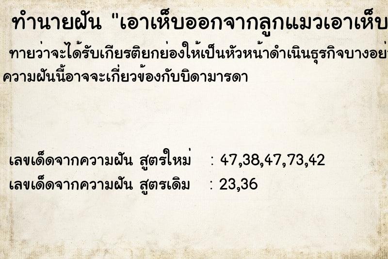 ทำนายฝันทำนายฝันเอาเห็บออกจากลูกแมวเอาเห็บออกจากลูกแมว