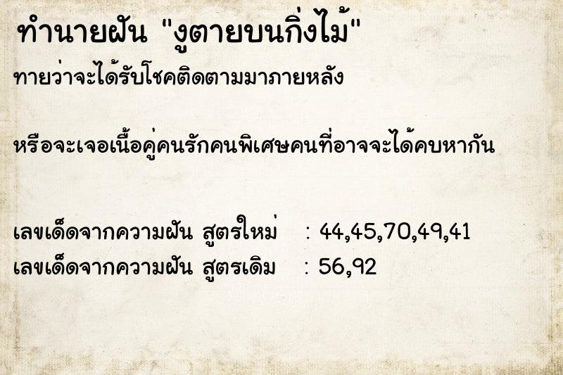 ทำนายฝันงูตายบนกิ่งไม้ ทำนายฝันทำนายฝันงูตายบนกิ่งไม้