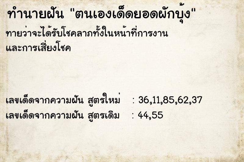 ทำนายฝันทำนายฝันตนเองเด็ดยอดผักบุ้ง