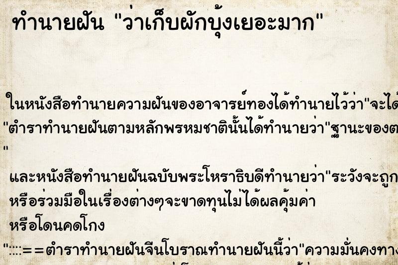 ทำนายฝัน ว่าเก็บผักบุ้งเยอะมาก ทำนายฝัน ว่าเก็บผักบุ้งเยอะมาก