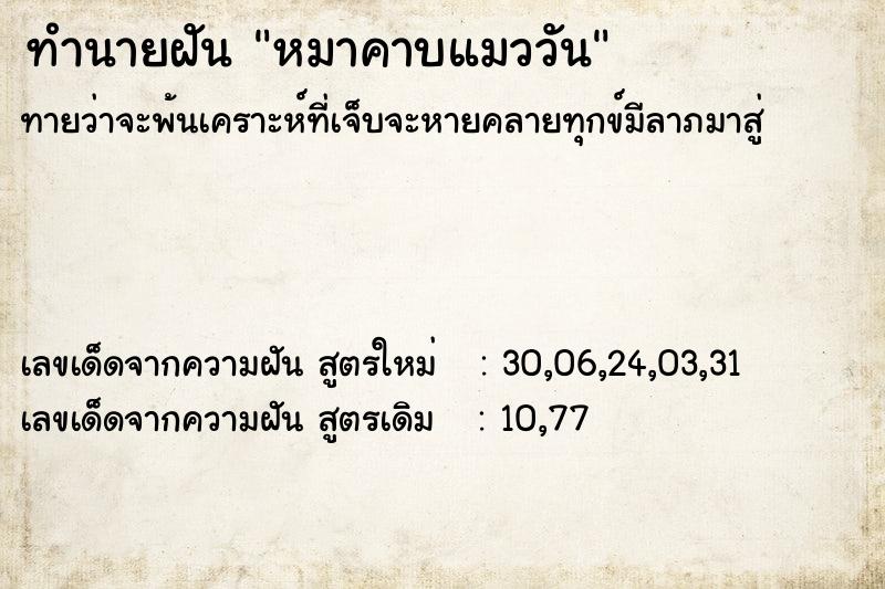 ทำนายฝัน หมาคาบแมววัน ทำนายฝัน หมาคาบแมววัน