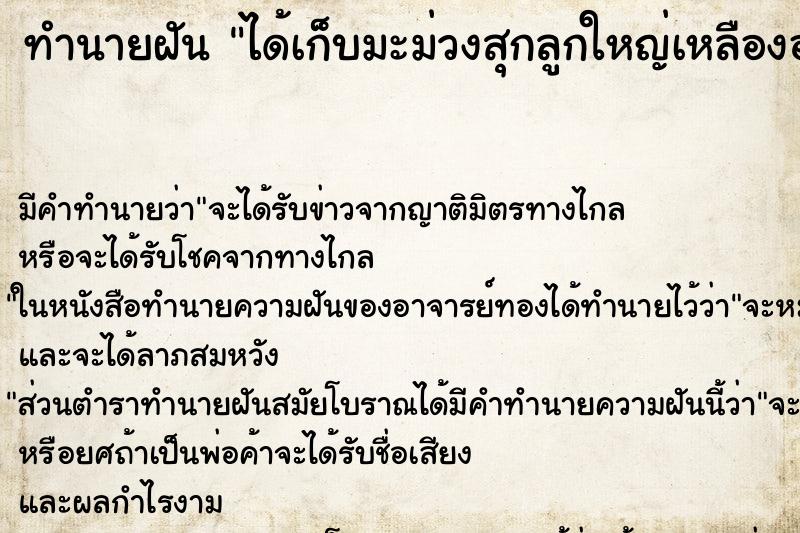 ทำนายฝัน ได้เก็บมะม่วงสุกลูกใหญ่เหลืองอร่าม ตำราโบราณ แม่นที่สุดในโลก