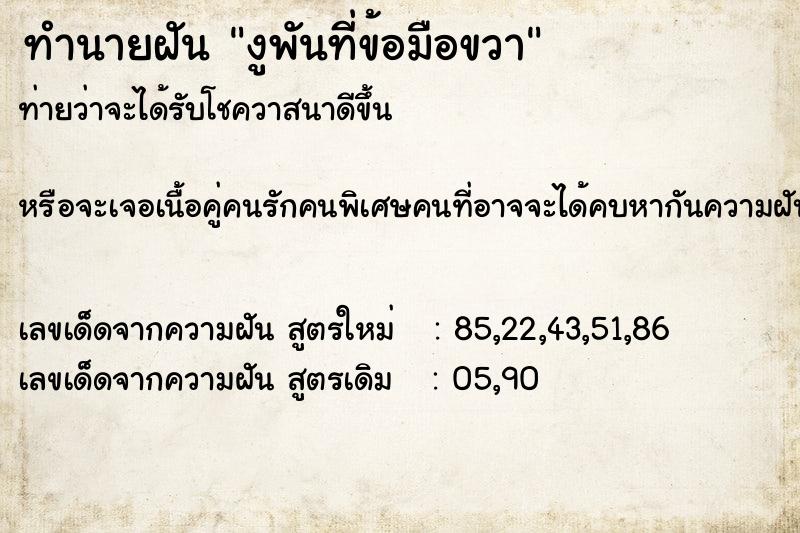 ทำนายฝันงูพันที่ข้อมือขวา ทำนายฝันทำนายฝันงูพันที่ข้อมือขวา