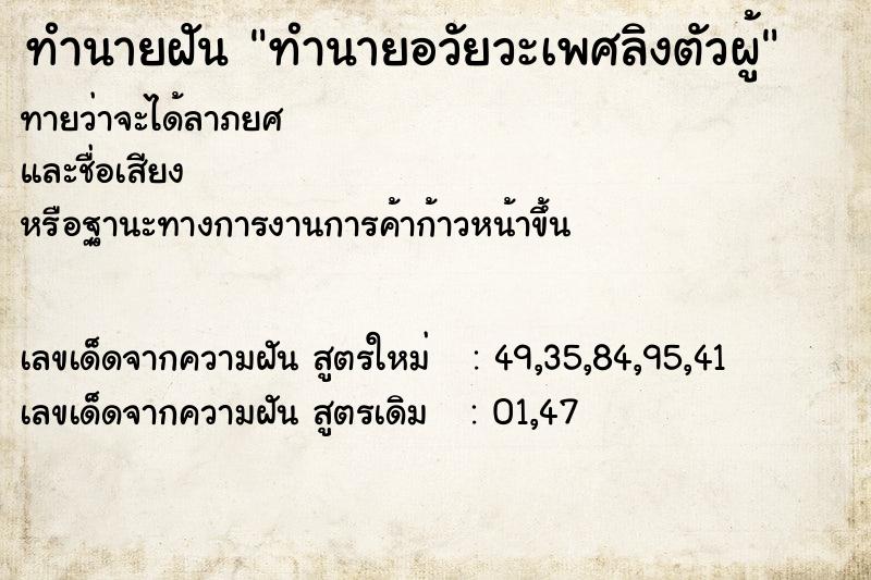 ทำนายฝันทำนายฝันทำนายอวัยวะเพศลิงตัวผู้