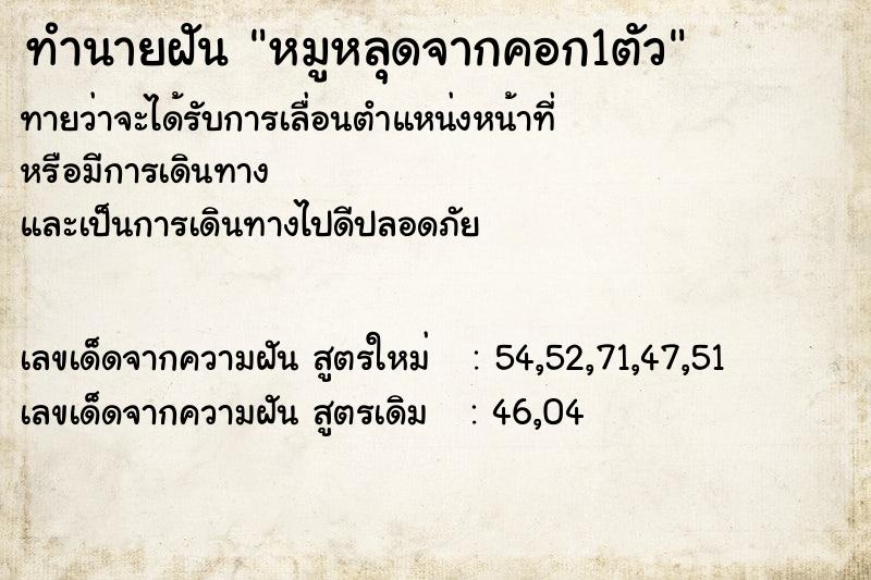 ทำนายฝันทำนายฝันหมูหลุดจากคอก1ตัว