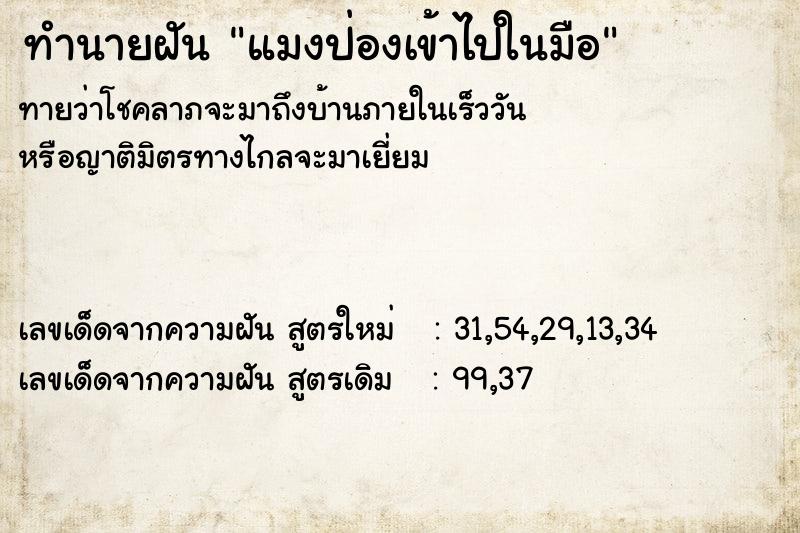 ทำนายฝันทำนายฝันแมงป่องเข้าไปในมือ