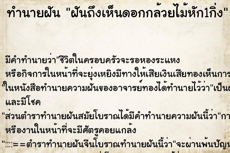 ทำนายฝันฝันถึงเห็นดอกกล้วยไม้หัก1กิ่ง ทำนายฝันทำนายฝันฝันถึงเห็นดอกกล้วยไม้หัก1กิ่ง