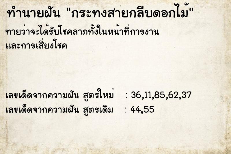 ทำนายฝันกระทงสายกลีบดอกไม้ ทำนายฝันทำนายฝันกระทงสายกลีบดอกไม้